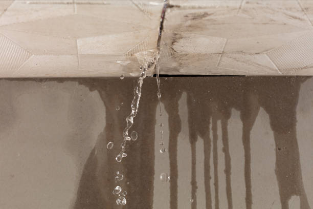 Professional Structural Drying technician working in Morton, TX
